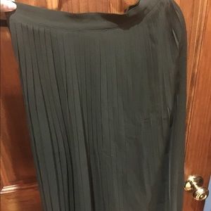 Pleated sheer skirt with shorts